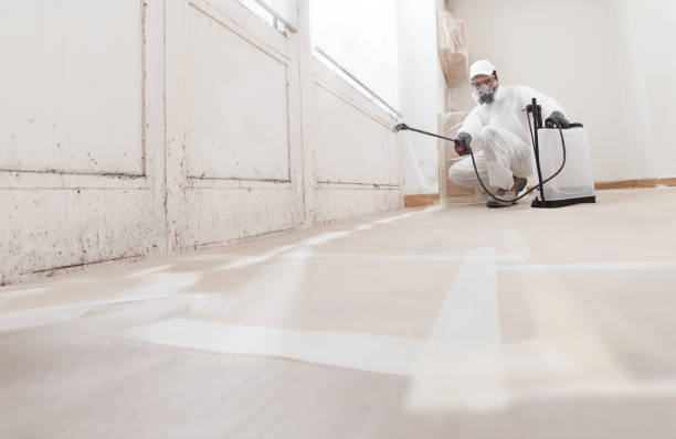 24/7 Emergency Attic Mold Removal experts in Coalport, PA